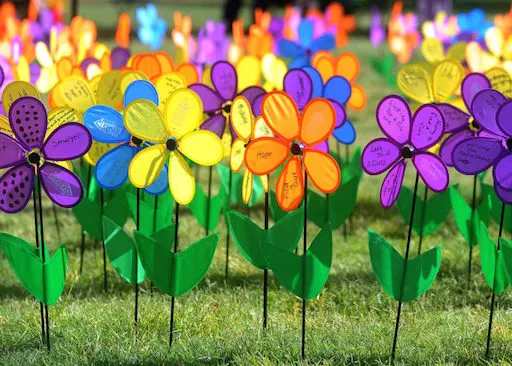Promise Garden flowers at Walk to End Alzheimer’s
